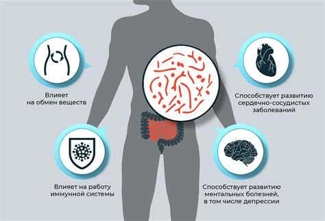 Влияние антибиотиков на организм: важные аспекты