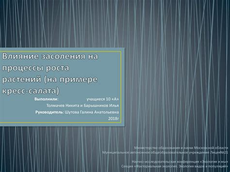 Влияние аэроризомных структур на процессы роста и формирования зеленного гиганта