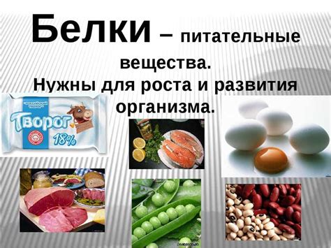 Влияние белка на организм: полезные эффекты для здоровья