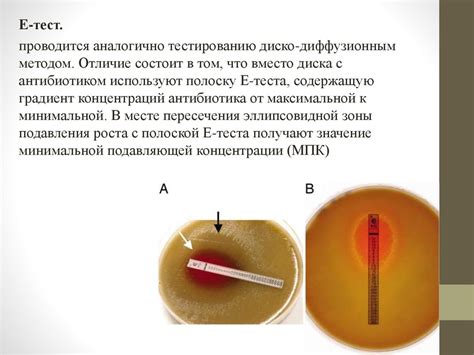 Влияние биологических факторов ночной активности на возможность зачатия