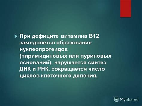 Влияние витамина В12 на образование эритроцитов и процессы клеточного деления