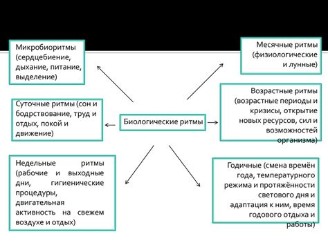 Влияние выбранного места на работоспособность и техническое обслуживание генератора