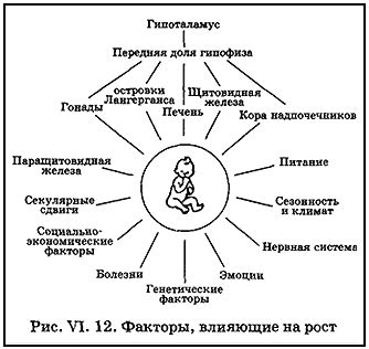 Влияние генетических факторов на развитие гепатита