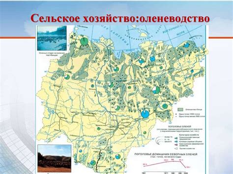 Влияние географического положения Кавказского региона на международные отношения