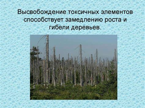 Влияние географического расположения на окружающую природную среду