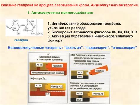 Влияние гепарина на систему свертывания крови: