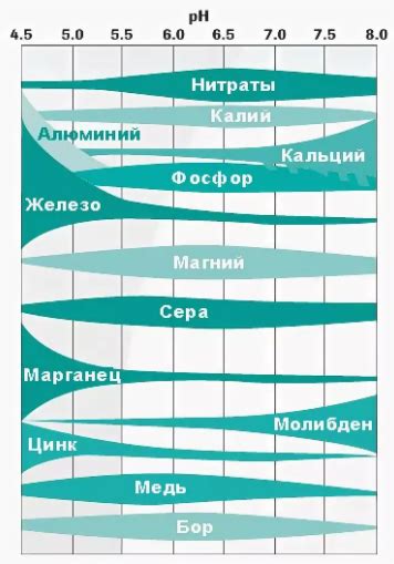 Влияние глубины и типа почвы на доступность полезных элементов