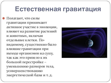 Влияние гравитации на расположение "верха" и "низа" яблока: значимость силы тяжести