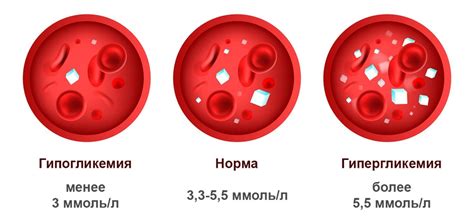 Влияние грейпфрута на уровень глюкозы в крови