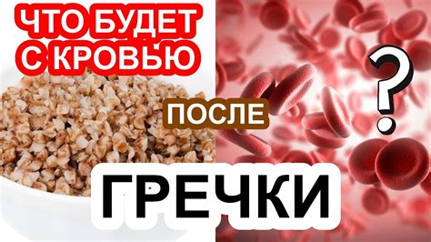 Влияние гречки на образование сгустков в крови: доказанные факты и наблюдения