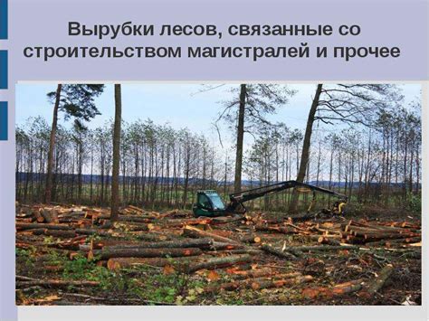 Влияние деятельности человека на среду обитания волков в Московской области