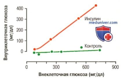 Влияние избытка глюкозы на успешность процесса зачатия