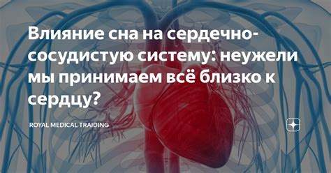 Влияние кисломолочных продуктов на сердечно-сосудистую систему