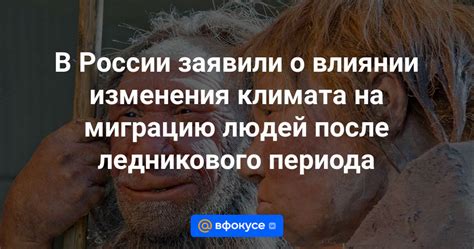 Влияние климата на миграцию снегиров