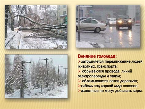 Влияние климатических условий на распространение и активность ядовитого арахнида в Российской Федерации