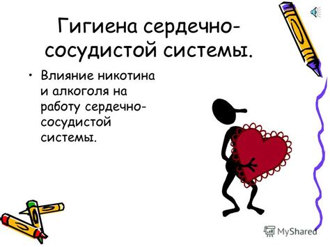 Влияние ключевых компонентов клюквы на работу сердечно-сосудистой системы