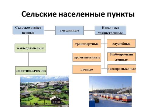 Влияние летучих городских жителей на архитектуру населенных пунктов