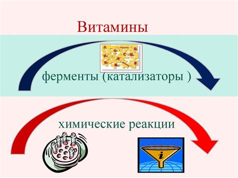 Влияние манных каш на обмен веществ