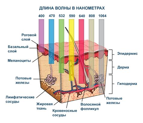 Влияние материала стен на проникновение ультразвука