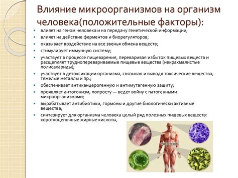 Влияние микроорганизмов на слизистую оболочку носа и ее защитные свойства