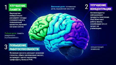 Влияние нард на мозговую активность и развитие когнитивных навыков