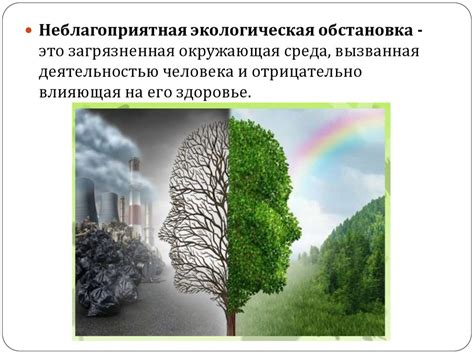 Влияние неблагоприятной экологической обстановки на здоровье населения: примеры стран с ограниченным сроком жизни