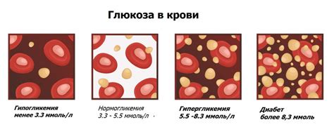 Влияние неподвергнутого тепловой обработке сырья на уровень глюкозы в крови