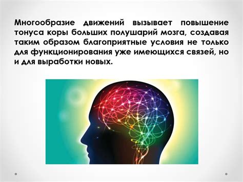 Влияние нервной системы на физическое и психическое благополучие: факты и заблуждения