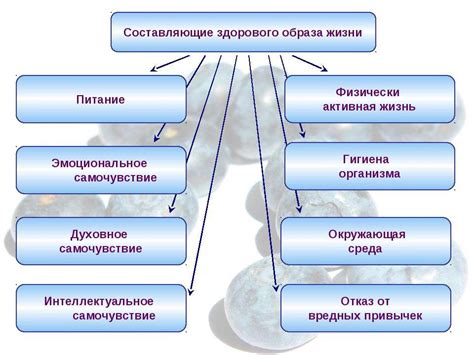 Влияние образа жизни на состояние ооцитов при поликистозе: роль привычек и поведенческих факторов