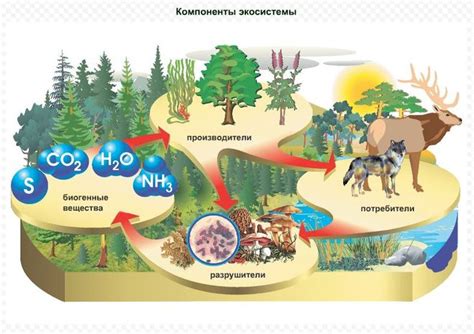 Влияние окружающей природы на оформление и форму арктических жилищ