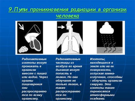 Влияние окружающей среды и наружных факторов на позиционирование человеческой души