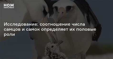 Влияние окружающей среды на характеристики самцов и самок карасей