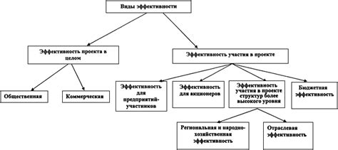 Влияние особенностей проектов на оценку их эффективности