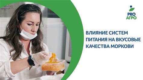 Влияние особого добавления на вкусовые характеристики сырников