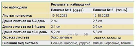 Влияние пазлов на развитие кognitiinх способностей