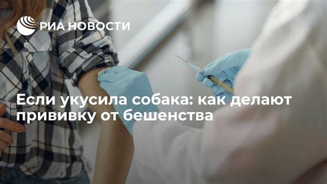 Влияние паразитарных червей на эффективность вакцинации от бешенства