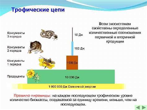 Влияние пираньи на биологическую систему водоемов