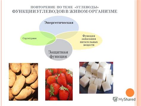 Влияние помидоров на уровень углеводов в организме