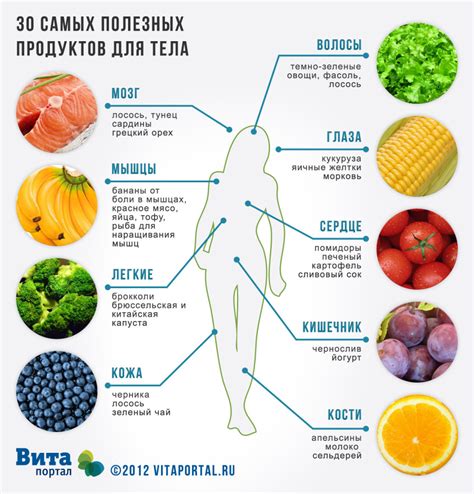 Влияние правильного питания на развитие и здоровье растущего организма