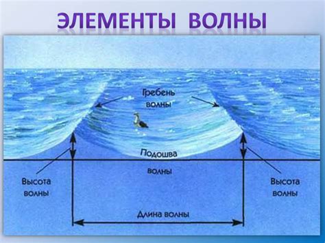 Влияние приливов и отливов на ориентацию течения воды в реках