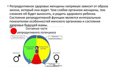 Влияние прогестерона на репродуктивную систему