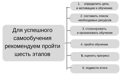 Влияние работа-учеба: достоинства и недостатки