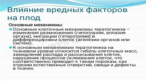 Влияние различных факторов на время кровотечения