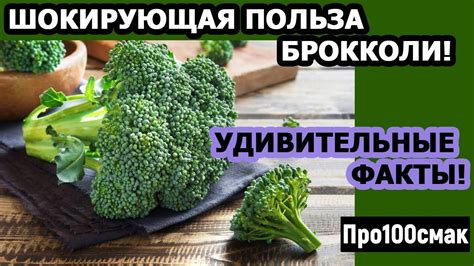 Влияние разноцветной капусты на организм: польза для здоровья