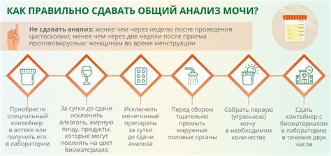 Влияние рациона питания и потребления жидкости на исследование мочи