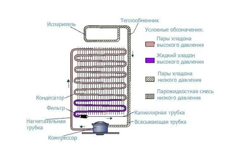 Влияние регулярности размораживания на работу холодильника с капельной системой