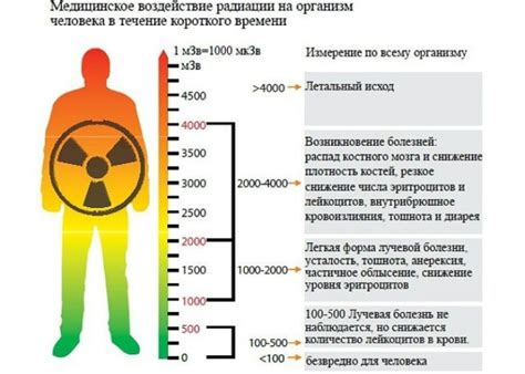 Влияние солнечной радиации на организм человека