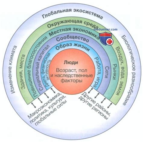 Влияние социальных и культурных факторов на формирование музыкальных стилей