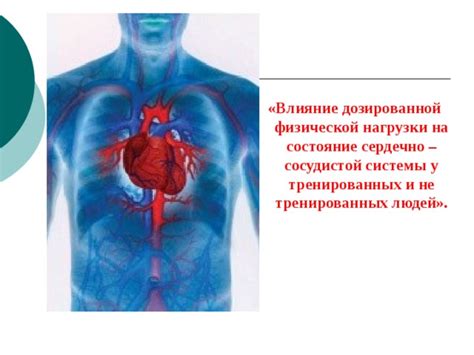 Влияние спиртного на состояние сосудистой системы