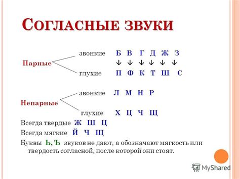 Влияние твердости и мягкости на окончания слов и ударение